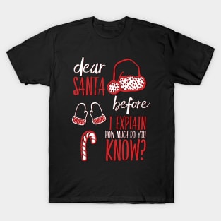 Dear Santa before I explain how much do you know T-Shirt